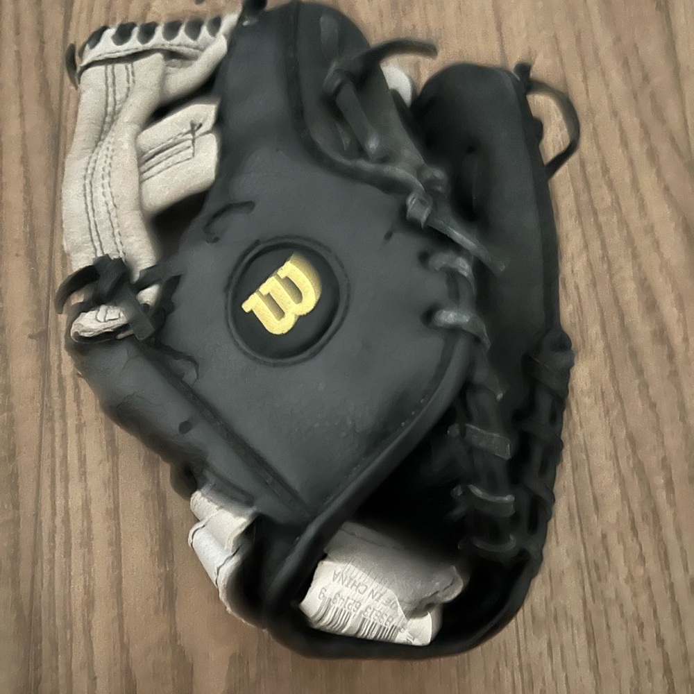 Little Kids Wilson A350 Baseball Glove